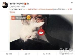 卓伟爆料模特视频大全最新,模特视频大全引发热议,真相揭秘! 第2张 卓伟爆料模特视频大全最新,模特视频大全引发热议,真相揭秘! 第2张